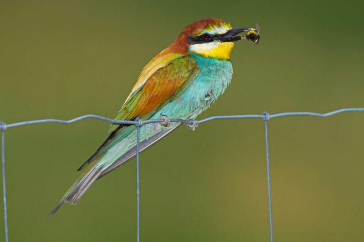 INAUGURACIÓN DE LA EXPOSICIÓN 