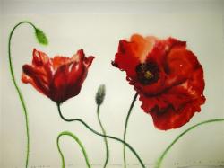 EXPOSICIÓN SOLIDARIA 