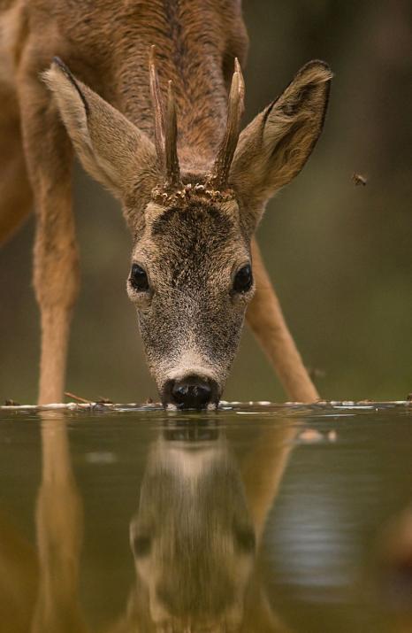 INAUGURACIÓN DE LA EXPOSICIÓN 