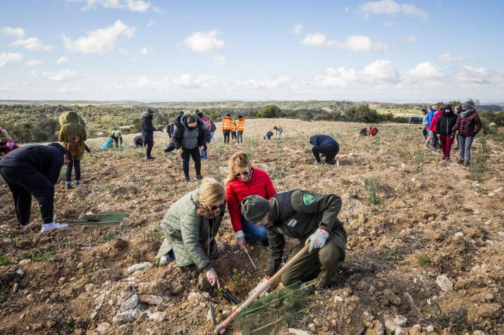 Fundación Ibercaja ha participado en la plantación de árboles en El Bosque de los zaragozanos